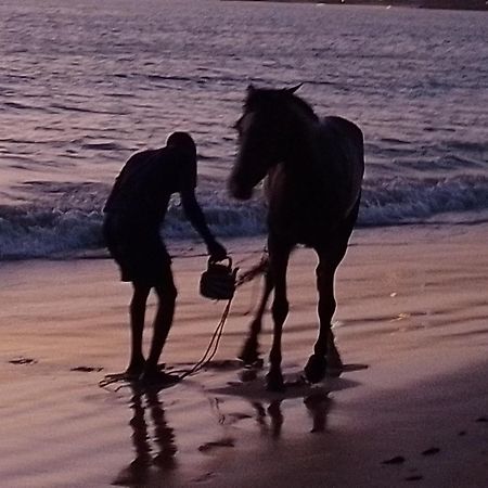 Paradisplage, 1 Minute De La Mer Saly Portudal Eksteriør bilde