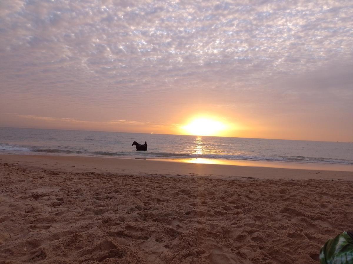 Paradisplage, 1 Minute De La Mer Saly Portudal Eksteriør bilde
